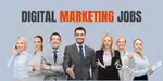 Urgently hiring field staff male candidate