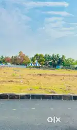 Semma plots