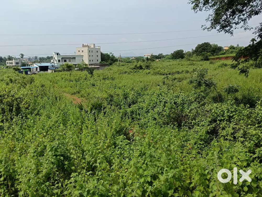 Plot for sale
