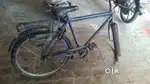 Running Cycle Old is Gold
