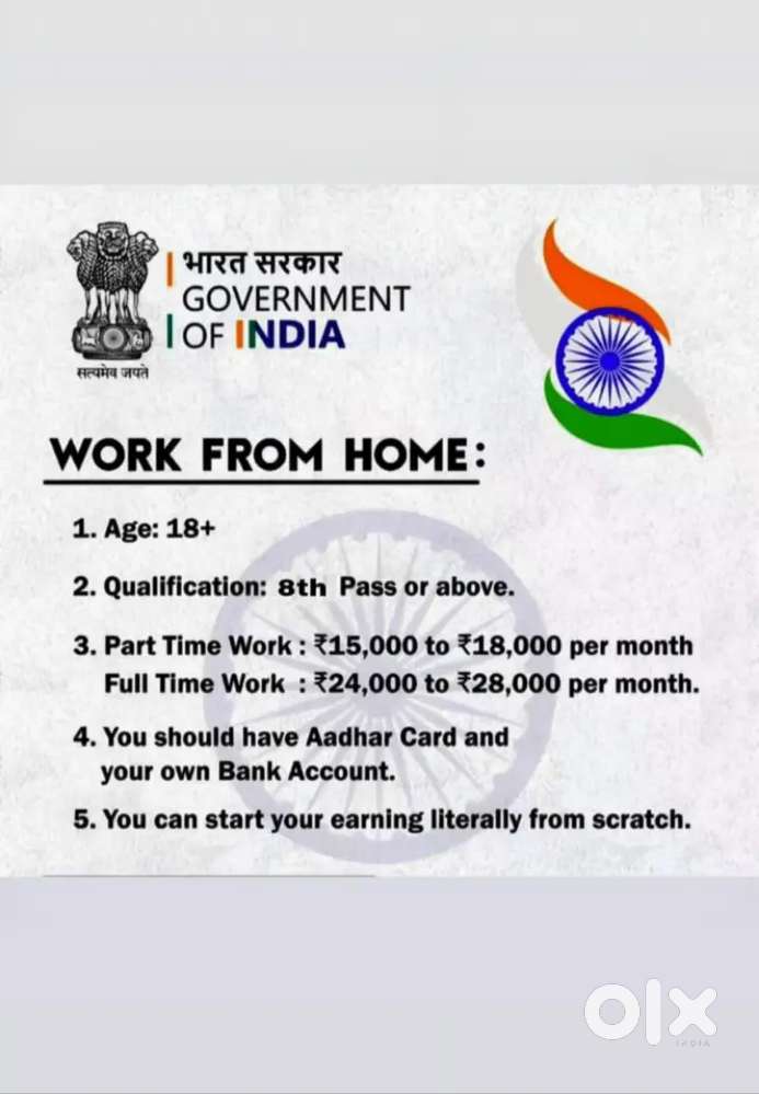 Work from home Government project