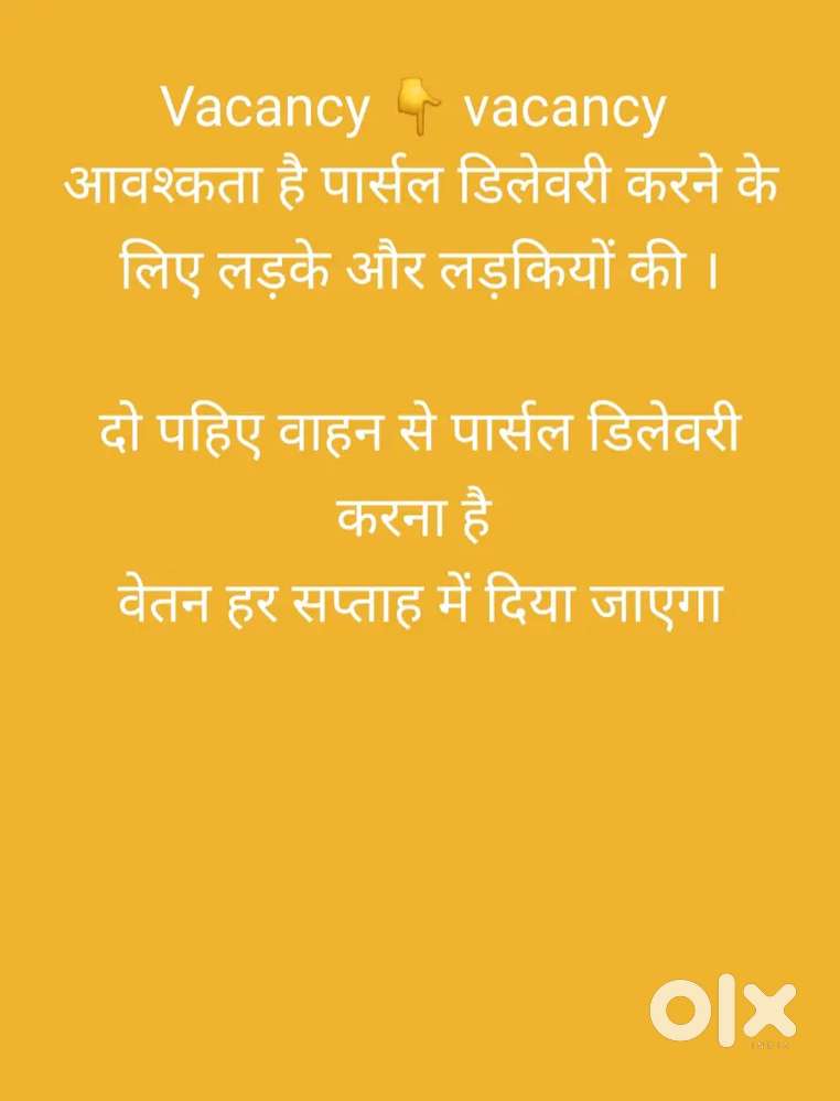 डिलेवरी बॉय और गर्ल की जो दो पहिया वाहन से पार्सल लगा सके