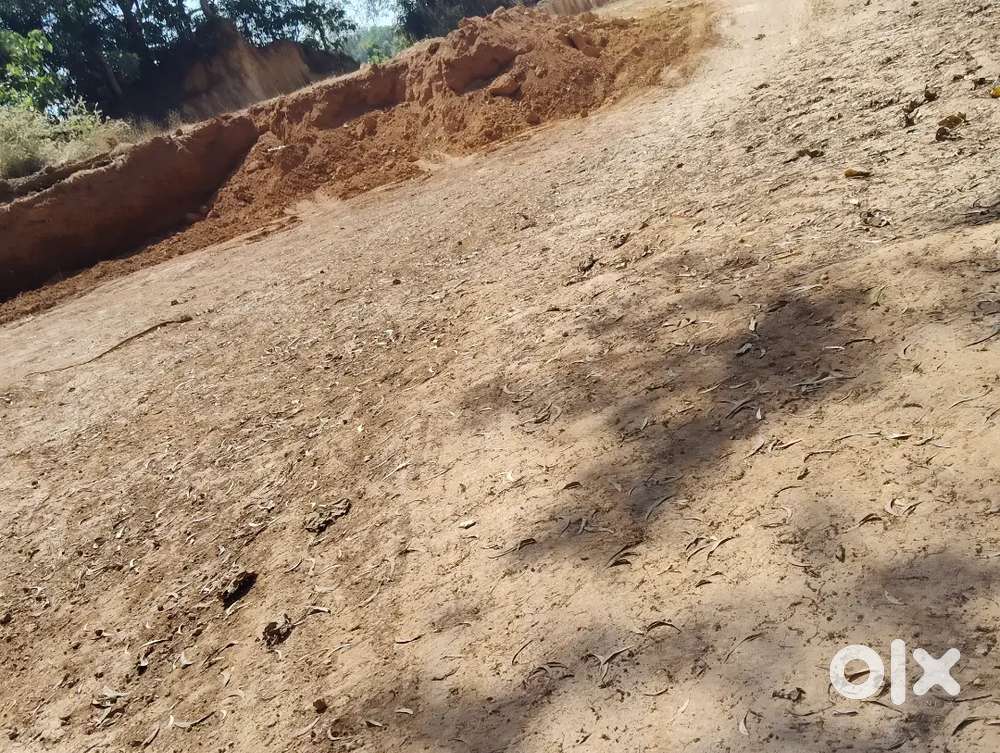 63 cents @ pakshikere