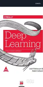 ORELLY Deep Learning