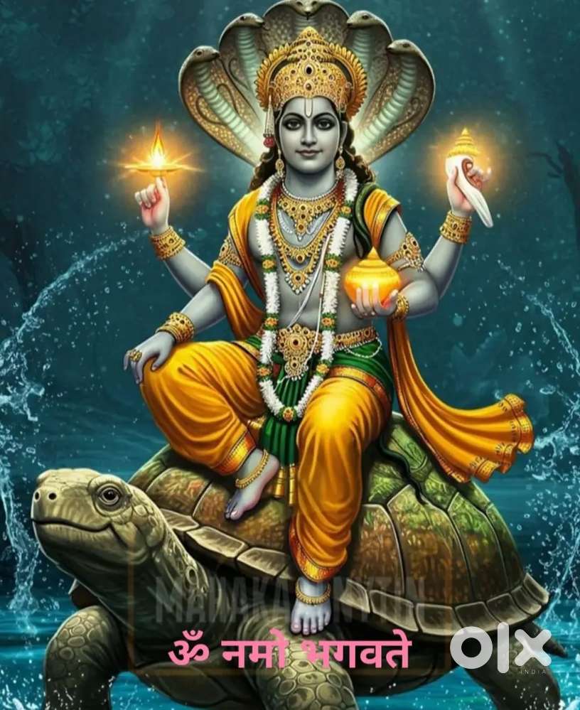 Rooms Available In Raja Park