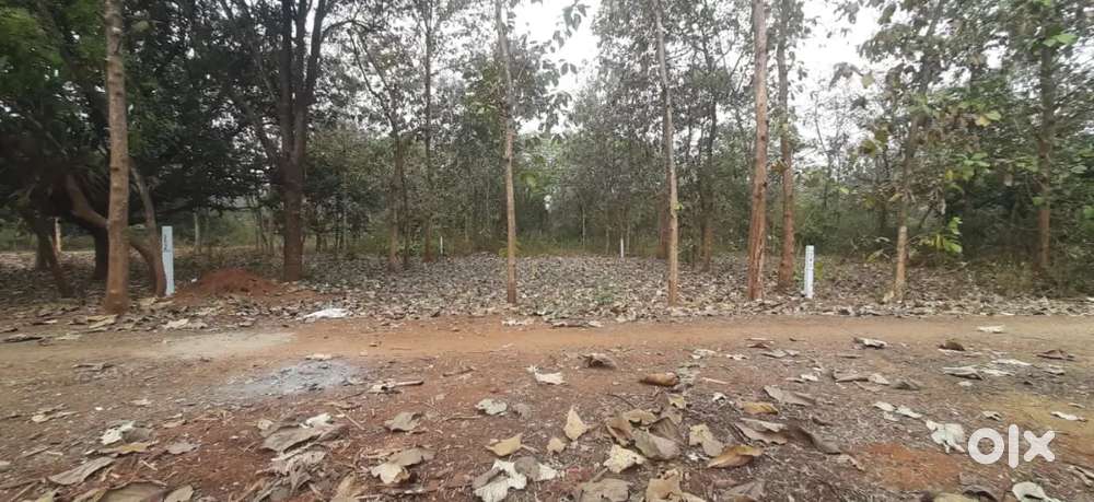 Nannayya univercity near DTCP layout high way 300మీటర్స్ 336 yards