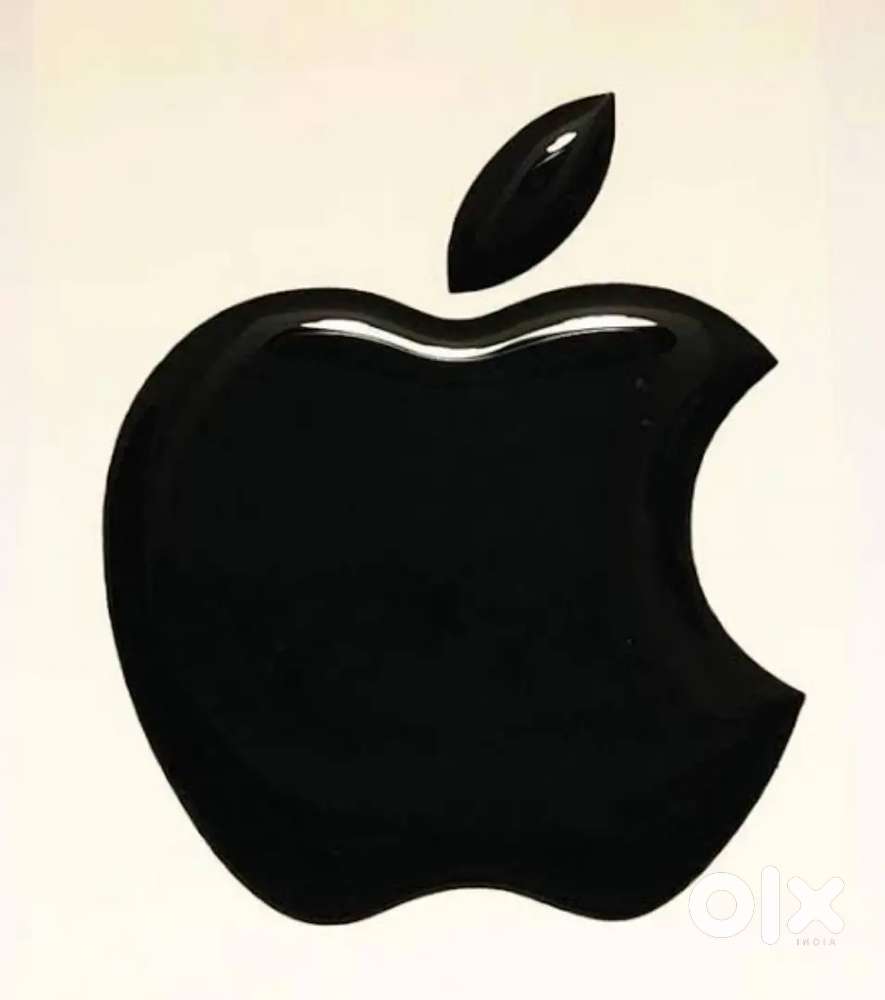 Office Work only Girls work reception work