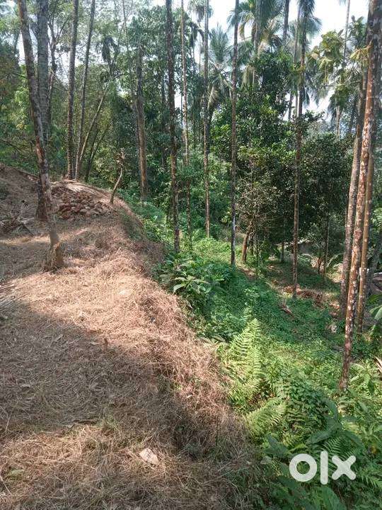 Kozhikode pullurampara  2.5aker land for sale