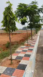 HMDA GATED COMMUNITY OPEN PLOTS AT RUDRARAM NEAR GEETAM UNIVERSITY