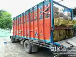 Ashok Leyland 1915/47 punjab body