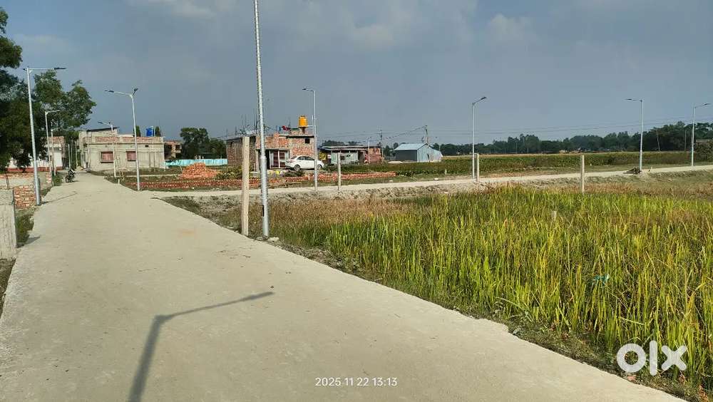 Bigha Land for Sale – Prime Location