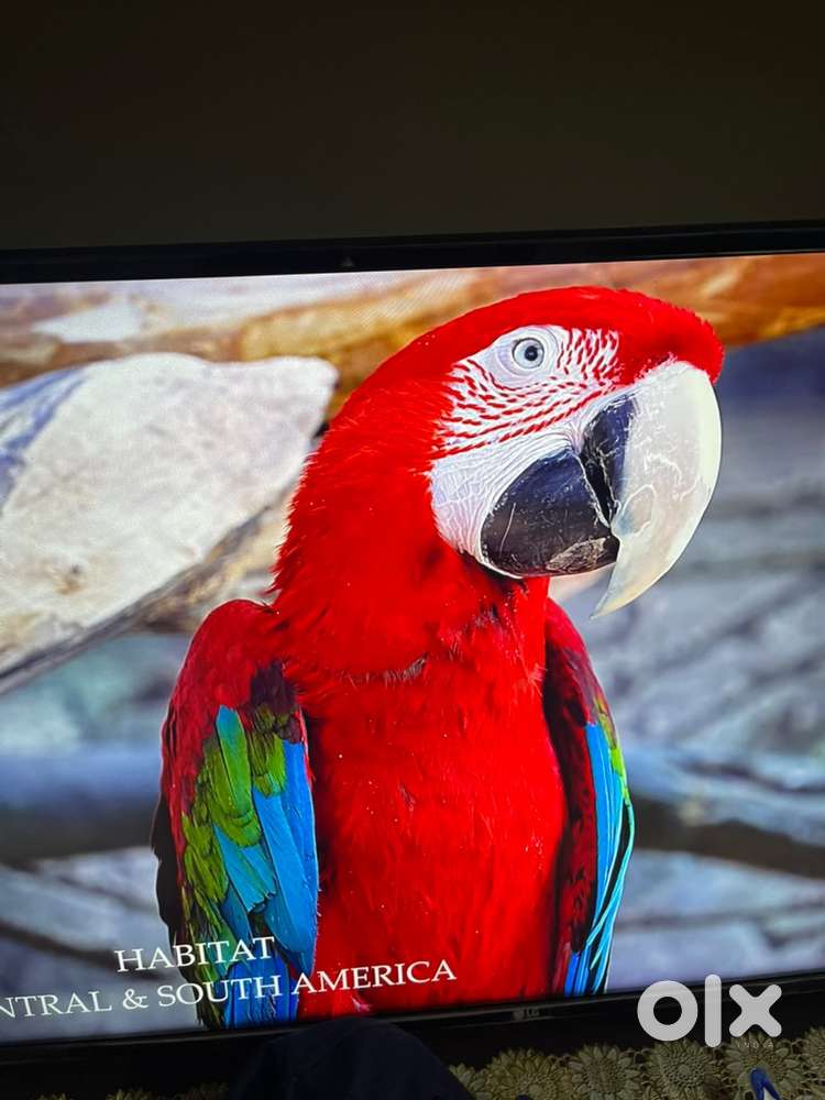 Prestine condition LG 4k UHD Tv for immediate sale