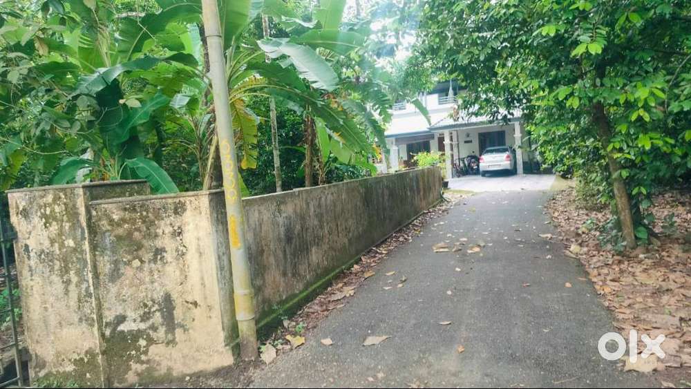 20 Cents of Land in Neduvanoor, Nedumbassery.