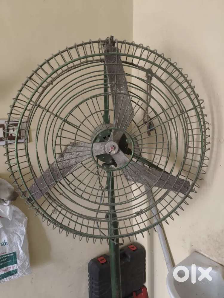 High big fan