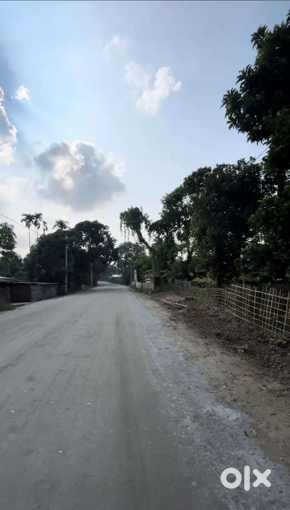 4 Bigha Myadi Land for Sale @Ahotguri,Dharamtol