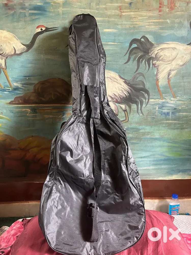 Guitar (Acoustic)