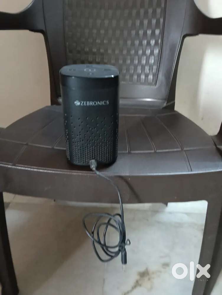 Alexa zebronic