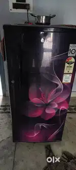 Lg single door fridge in good condition