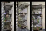 Cage for sale