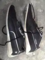 puma bmw shoe (uk 10 size) + Levis Shoe (uk 10 size) -  r s -  500
