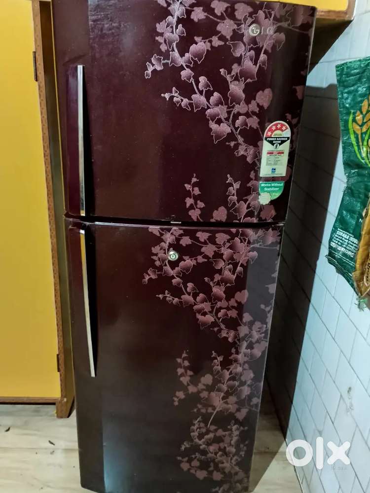 LG Double Door Fridge (GL-258VE4) - Excellent Condition!