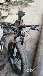 Fat bicycle