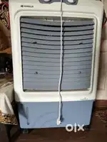 1 year old Cooler
