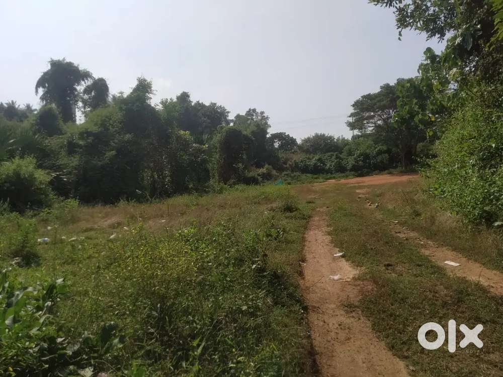 Kundapura :  3.5 acres 3 ponds.  With river backwater.