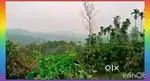 WRE 47. വയനാട്ടിൽ റിസോർട്ടിന് പറ്റിയ 1.5 ഏക്കർ സ്ഥലം വിൽപ്പനയ്ക്ക്