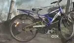 Blue cycle