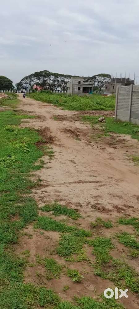 40*50 INVESTMENT RESIDENTIAL PLOT AT RTO NEW BYPASS NEAR RK NAGAR