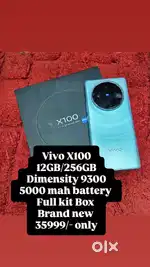 Vivo X100 12GB/256GB