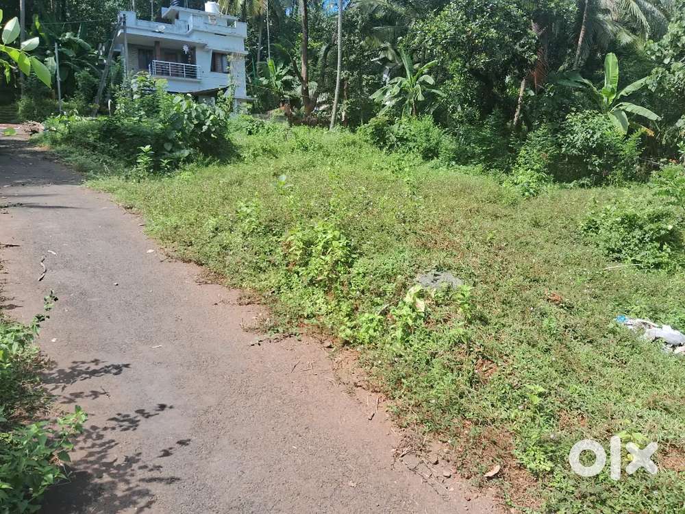 5/10/20 cent fine house plots just 500 mtr near karanthur NH side