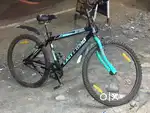 New cycle 1