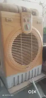 yellow colour 1.5 years old all function