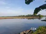 Fish farm ( chemeen kettu)