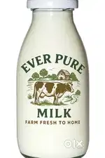 Milk Delivery Job