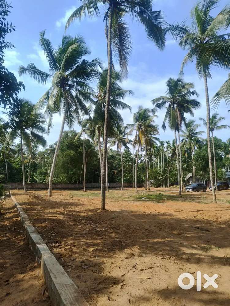 6 cents land for sale