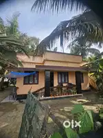 Plot and house for sell