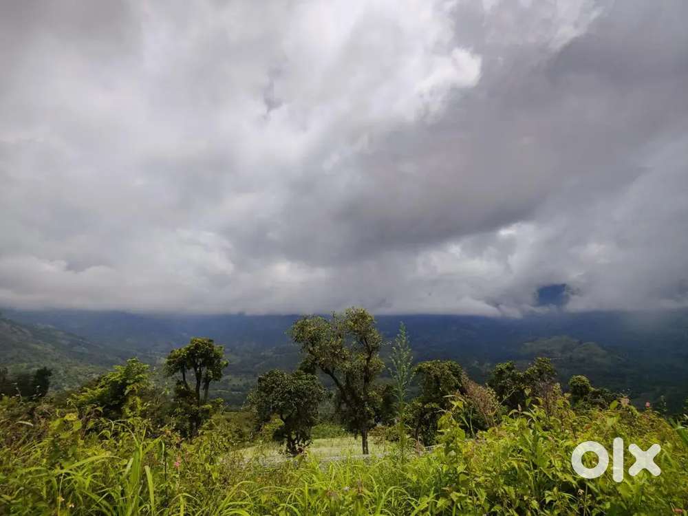 PALLANGI 50 CENTS SALE @JUZ 50K PER CENT