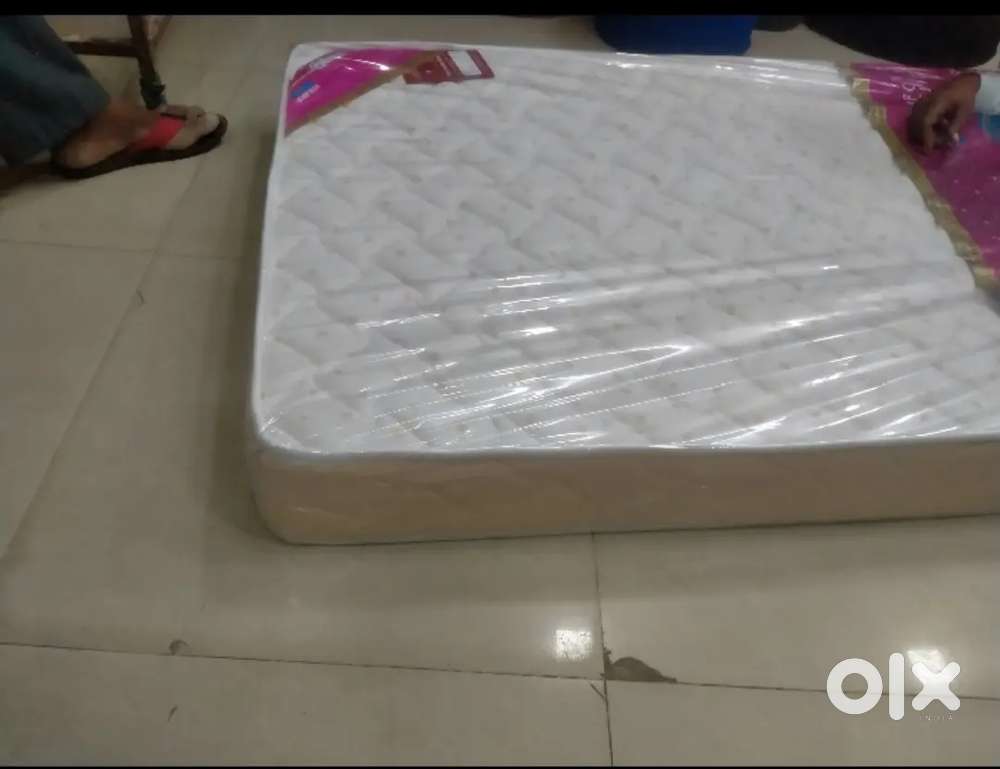 गदा स्पंज वाला