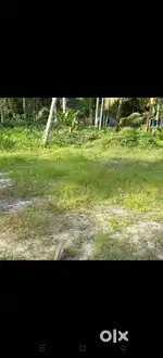 Muthukulam Nirmal Junction 20 cent plot(2 plots))