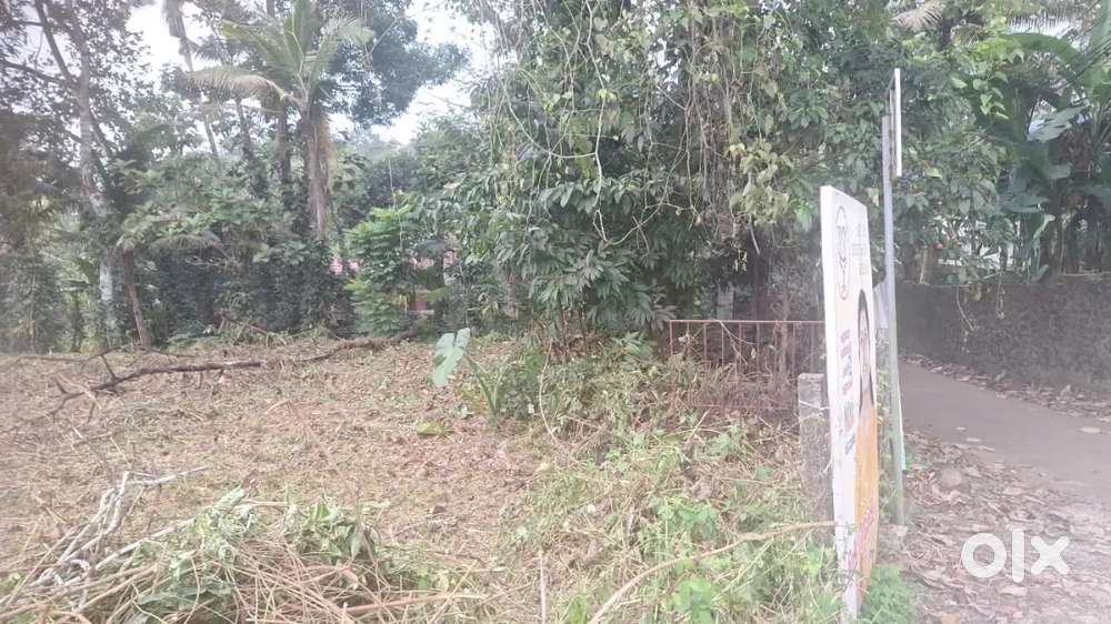 ഏറ്റുമാനൂർ അമ്പലത്തിന്റെ  പടിഞ്ഞാറെ നടയിൽ നിന്നും 500 mtr ദൂരത്തിൽ 11