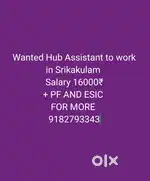 Wanted Hub Assistant