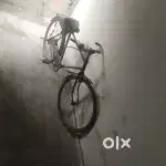 Desi Cycle