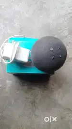 Echo doth smart speaker Alexa