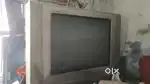 Tv 1000 mei bhai