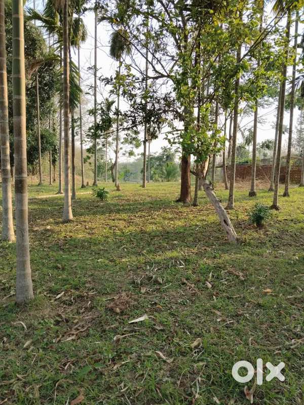 Your Home, Your Land – in a Serene Village Setting – at ₹156/sq.ft!