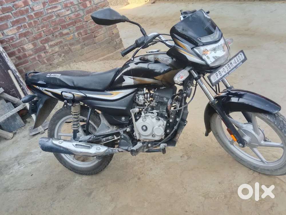 Platena bike2023 model