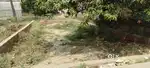 गोरखपुर मै पादरी चौकी से मात्र 400 मीटर पर ये प्लॉट है